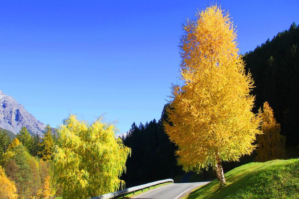 Residence Raethia Tra Bormio E Livigno Pradelle Ngoại thất bức ảnh